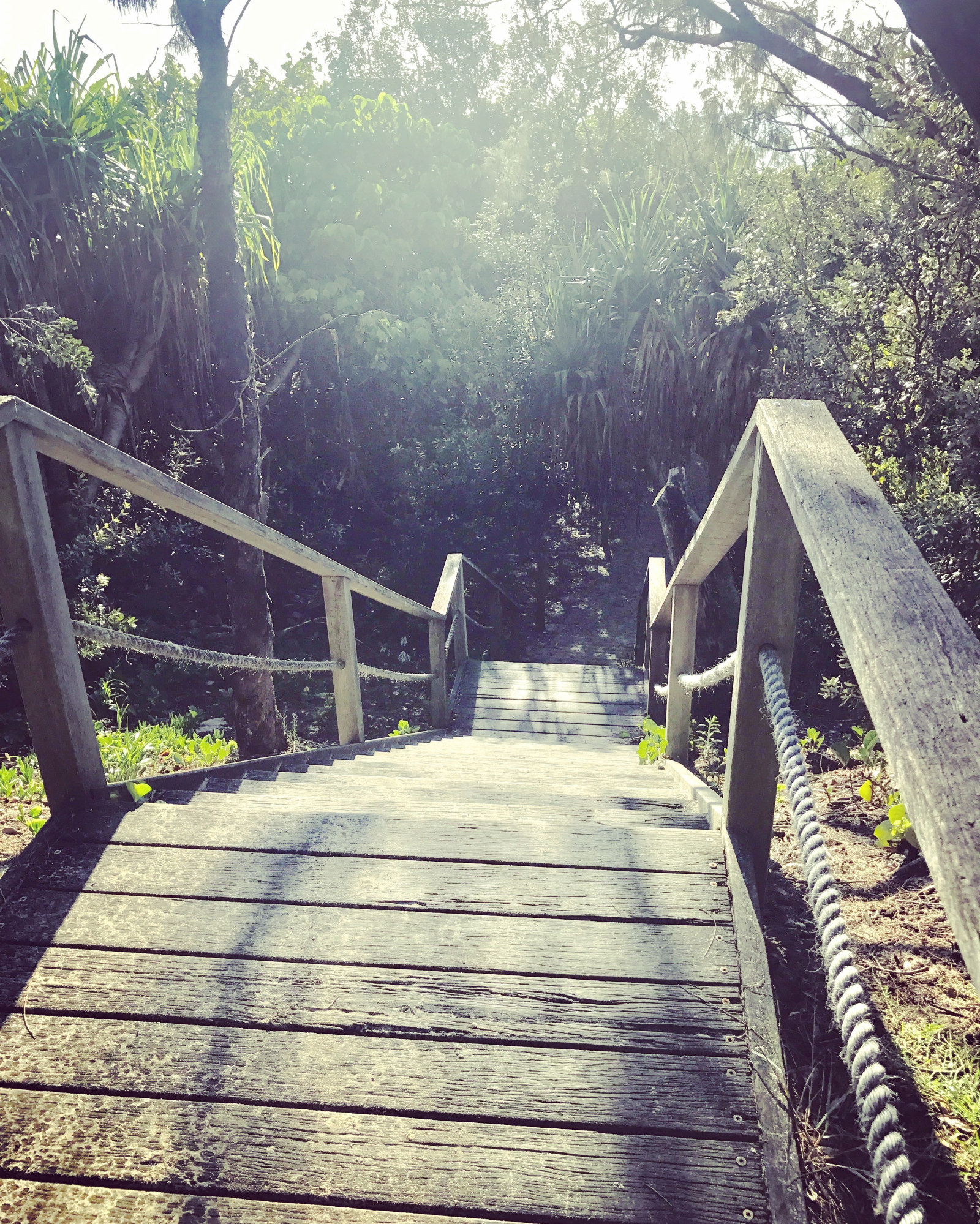 Stairway to heaven (or the beach)