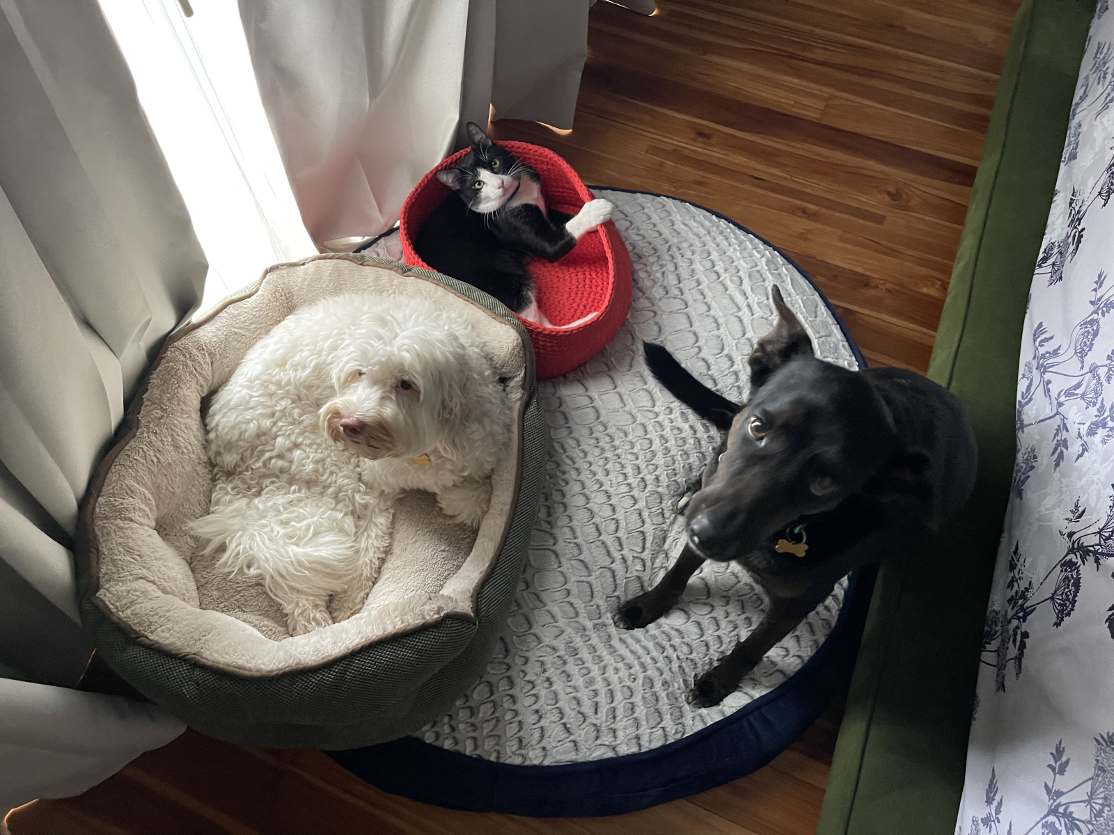 Mezcla😍 de blanco y negro