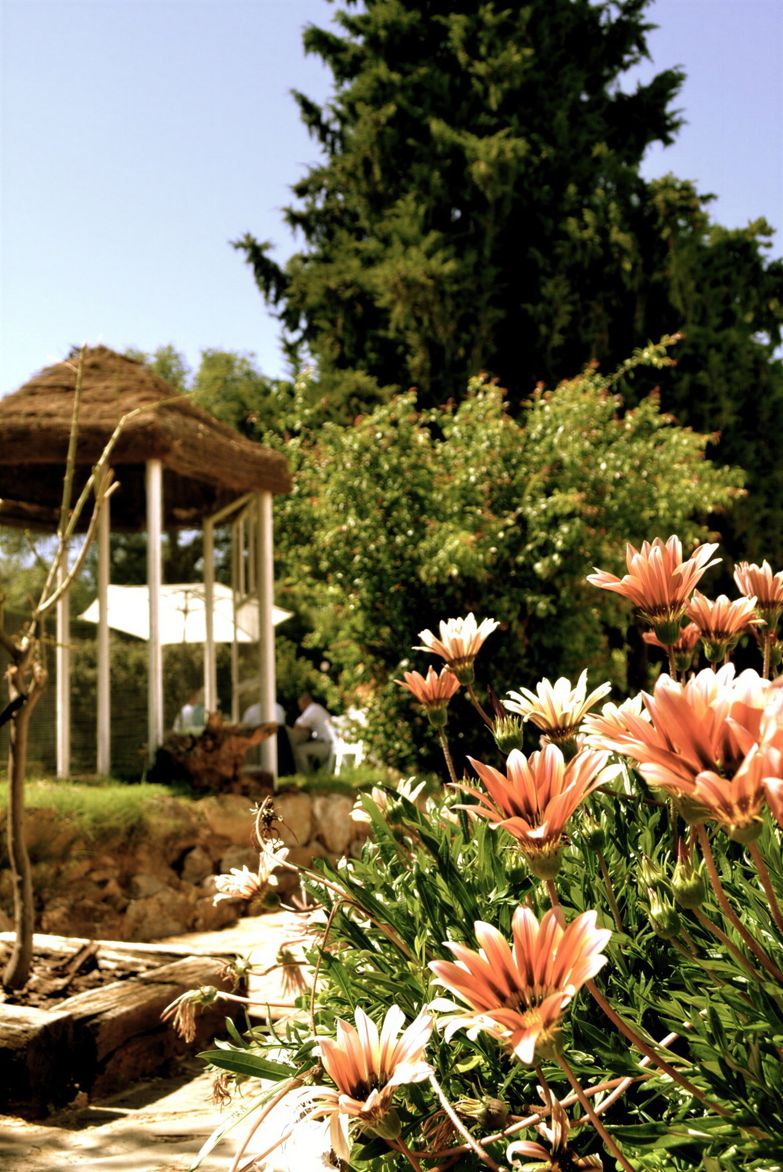 Country house in Andalusia