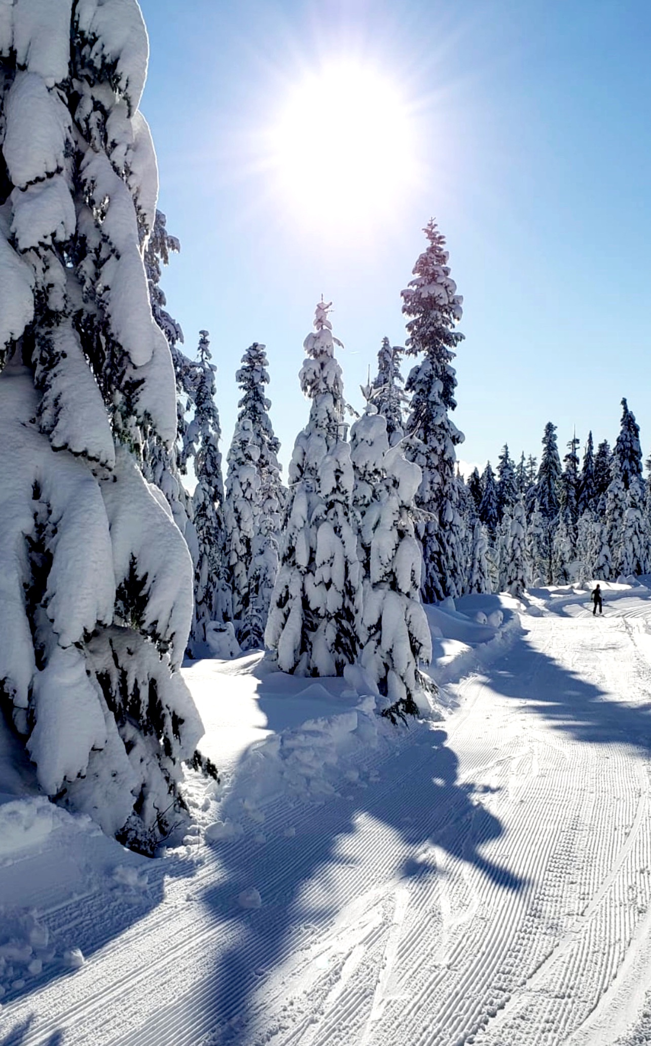 Dakota Ridge est une zone de loisirs d'hiver à proximité avec des raquettes et du ski de fond except ...