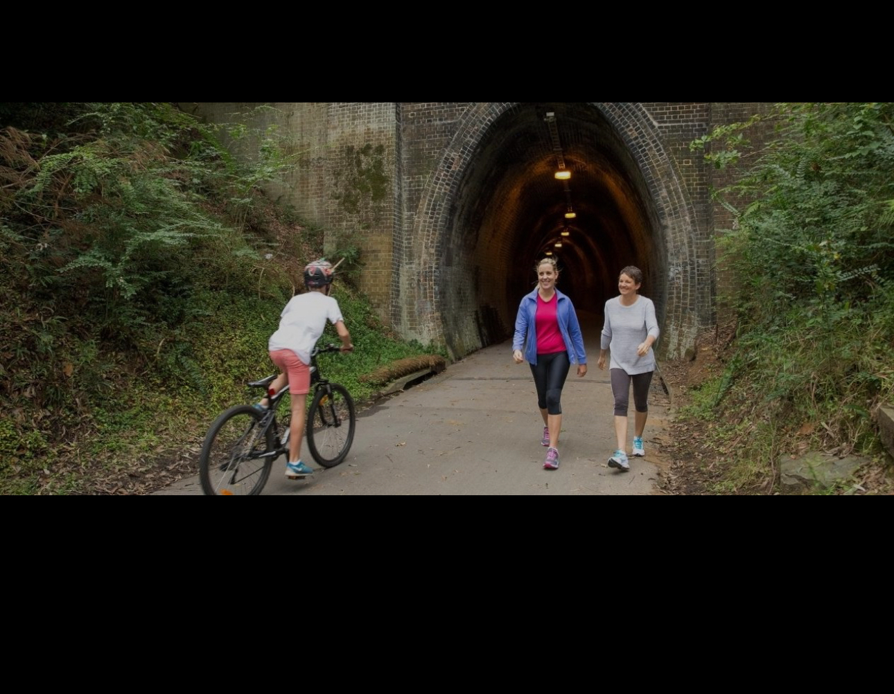 The Fernleigh Track
