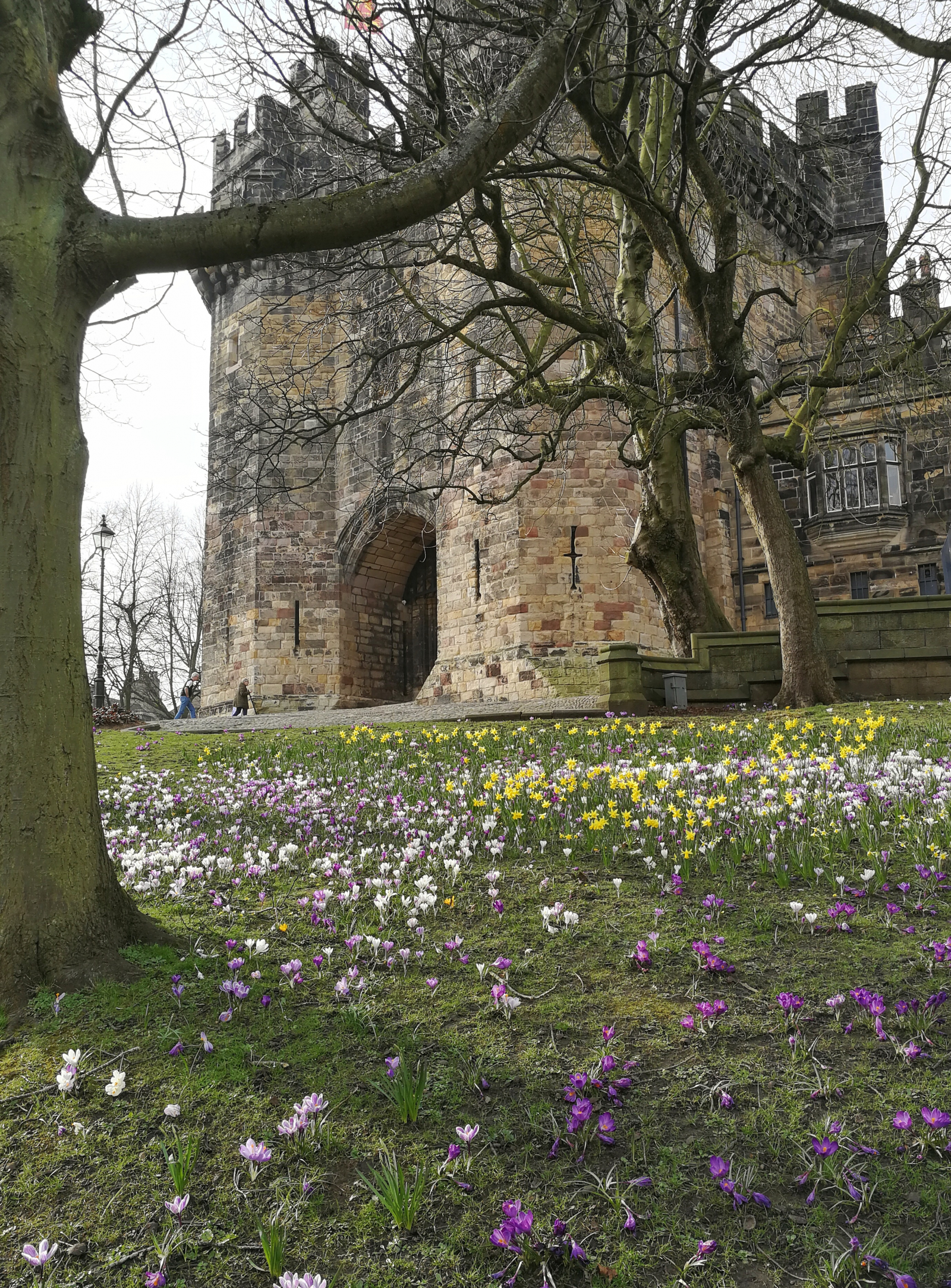 Neighbour to a Norman Castle in Lancaster City Centre! Lake District 40mins away.