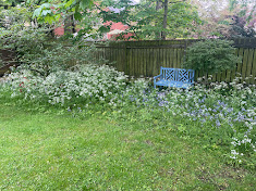 Communal space (private use for you and neighbours)