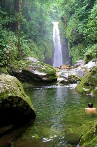 Waterval in het Pico Bonito Nationaal Park