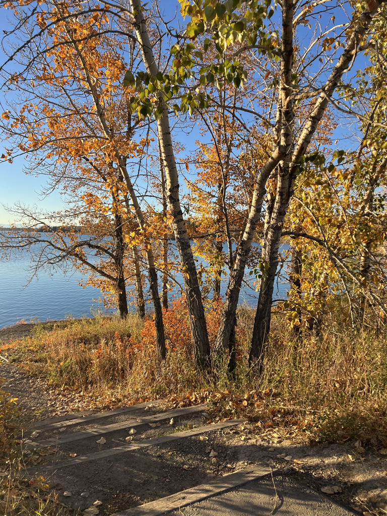 Glenmore Reservoir in the fall
