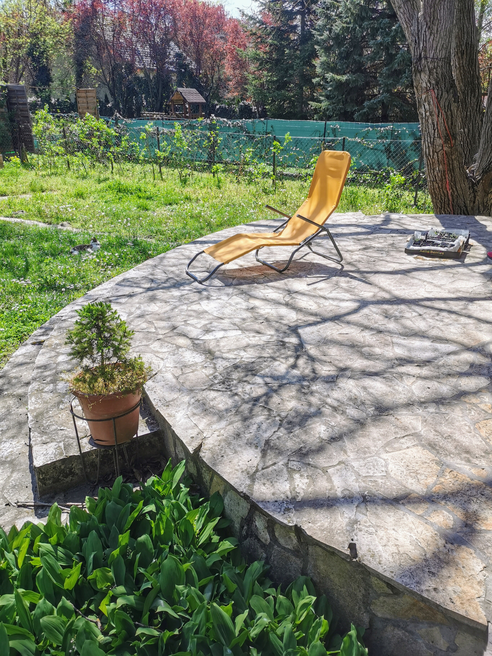 Nuestra gran terraza. Disponemos de dos tumbonas y puedes elegir sol o sombra bajo el nogal