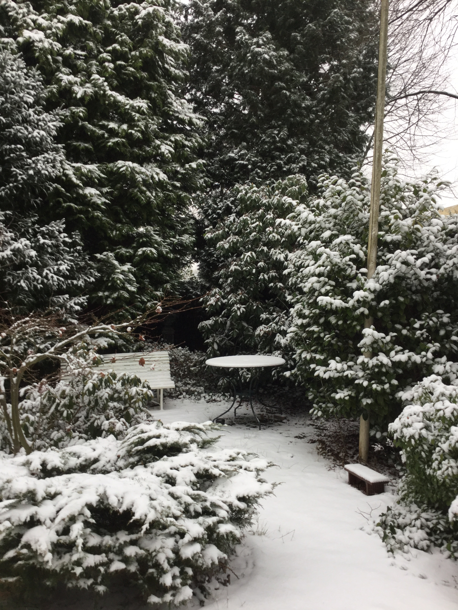 Warm & welcoming family home in a quiet, leafy Amsterdam South neighbourhood
