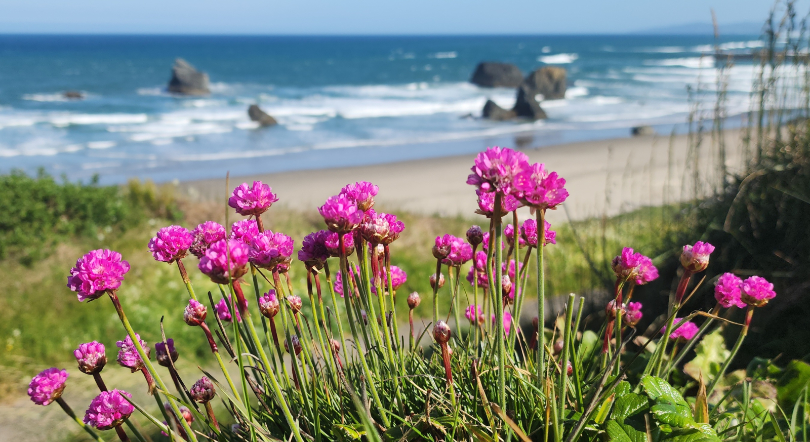 Oregon Coast Beach House, a cuadras de las playas más hermosas