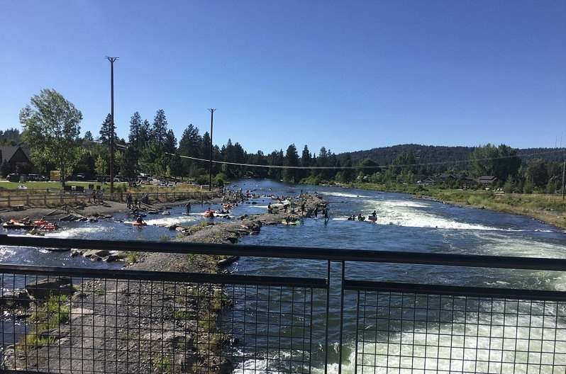 De golf is voor surfers en knollen. Populaire plek in de zomer!