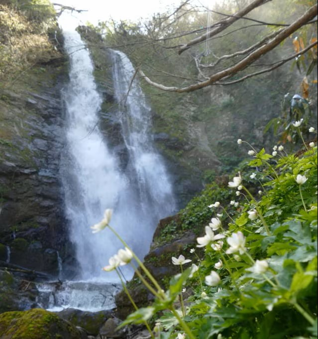 Fudo-Wasserfälle, ideal für einen Morgenspaziergang. 850 m, 10 min von zu Hause entfernt.