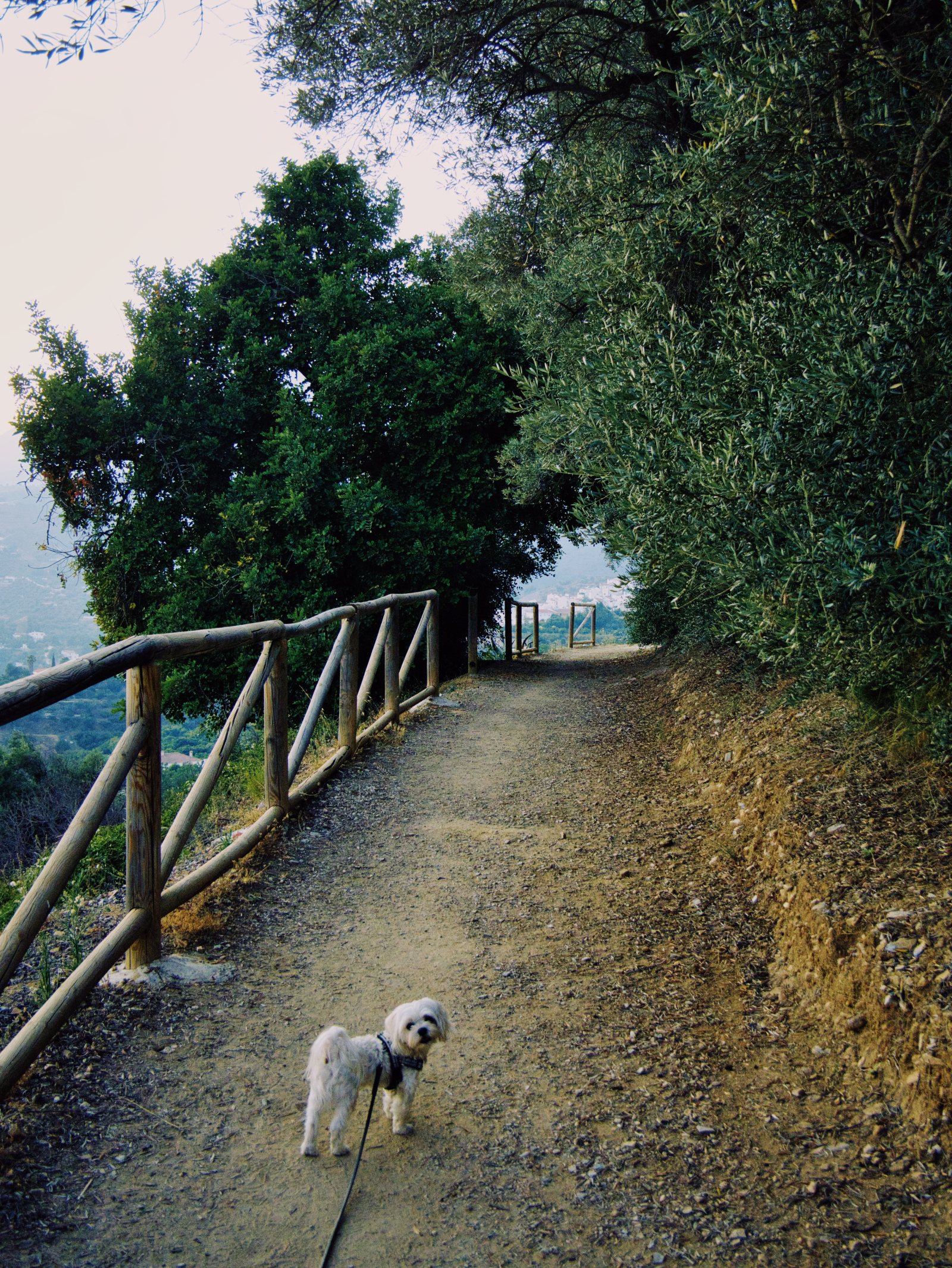 Casa a schiera nel villaggio montano andalo