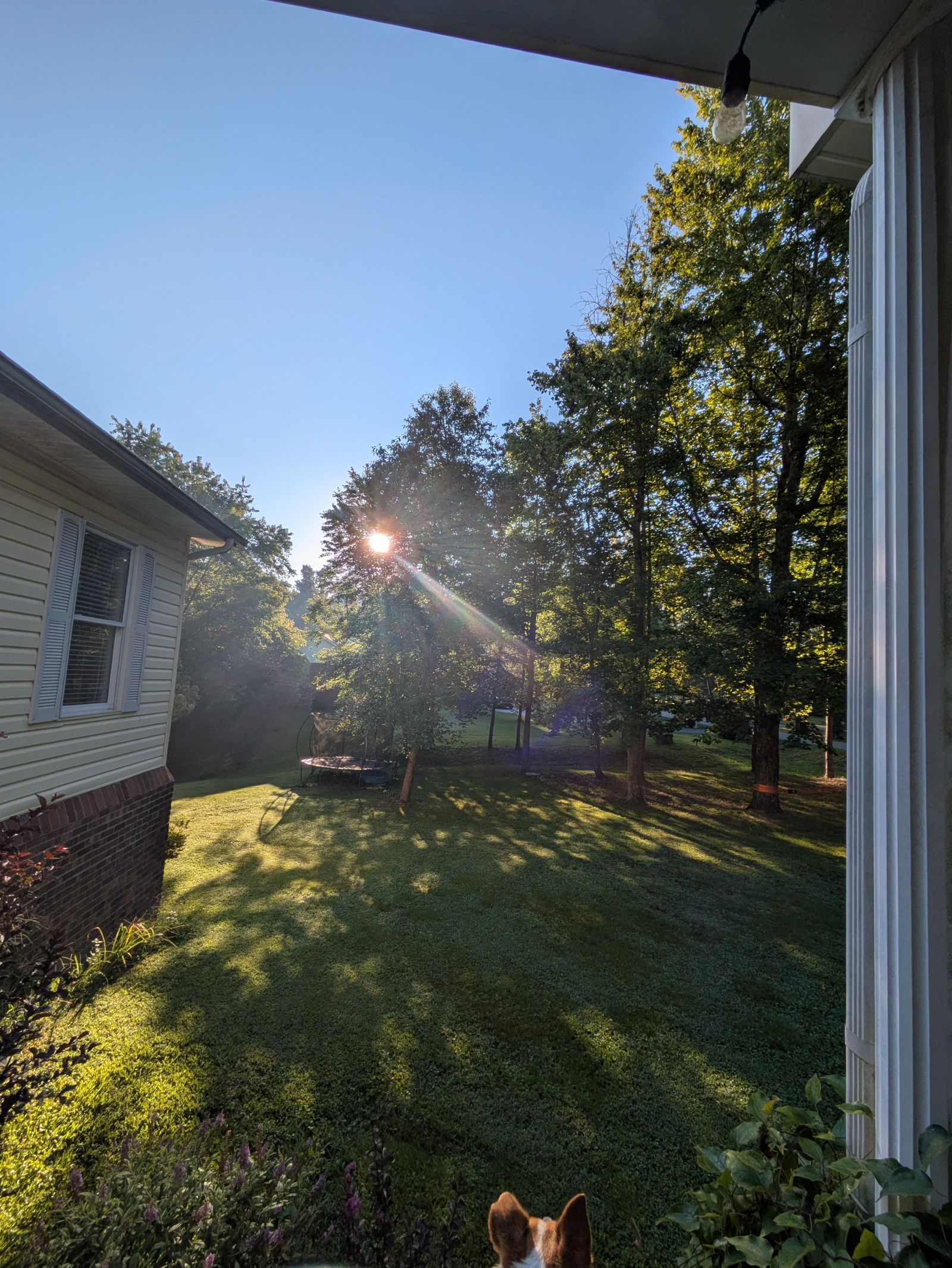 Vue de la cour latérale avec un trampoline
