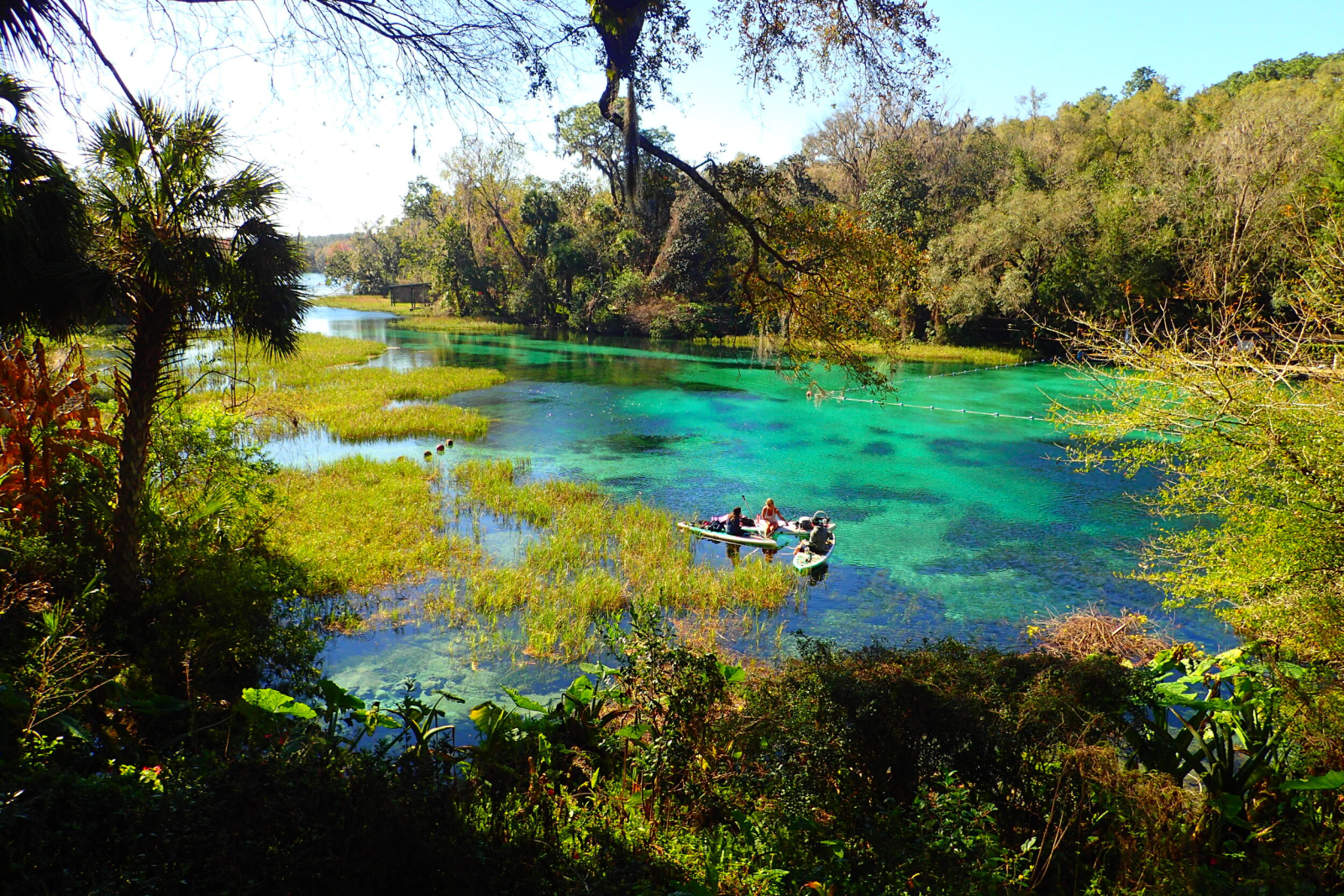Rainbow Springs, 15-20 minuten rijden met de auto!