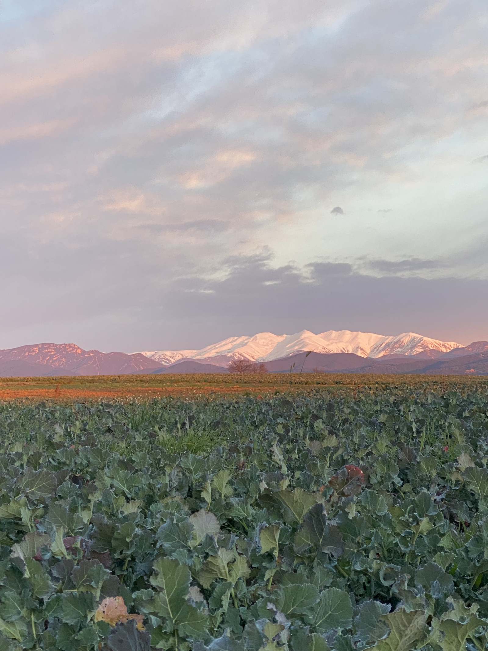 Cataluña, a medio camino del volcán, con una vista preciosa de Olot y sus colinas circundantes.