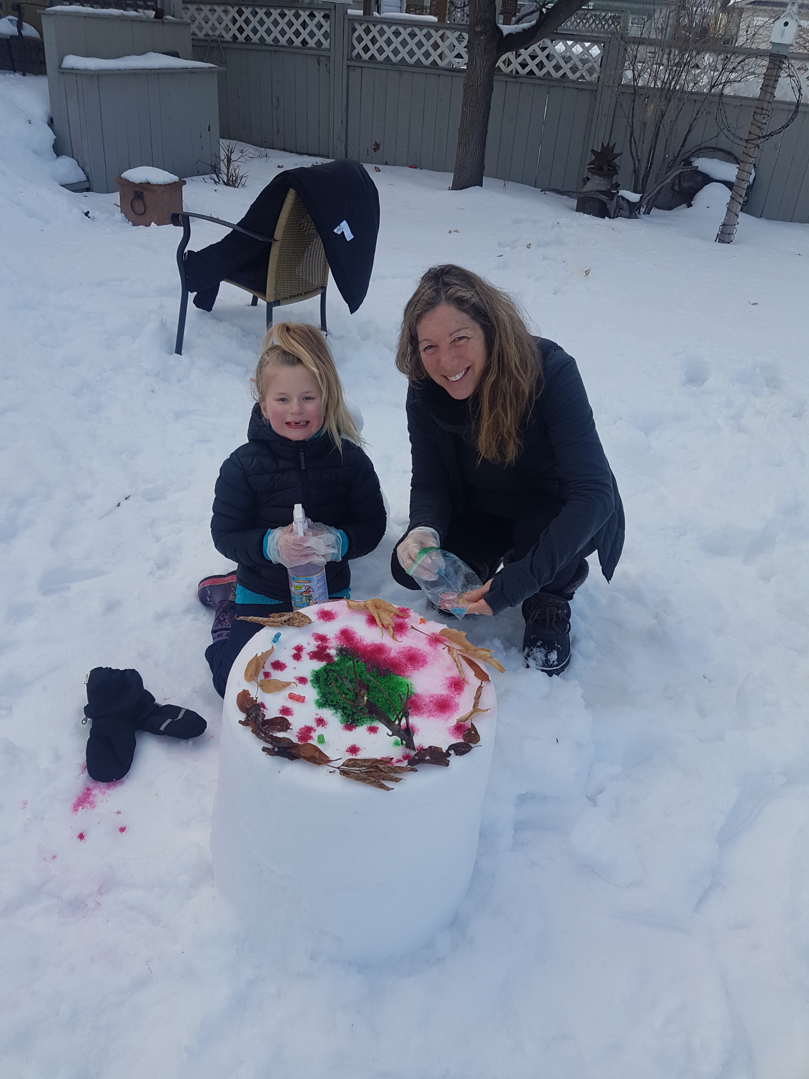 Back yard fun in the snow