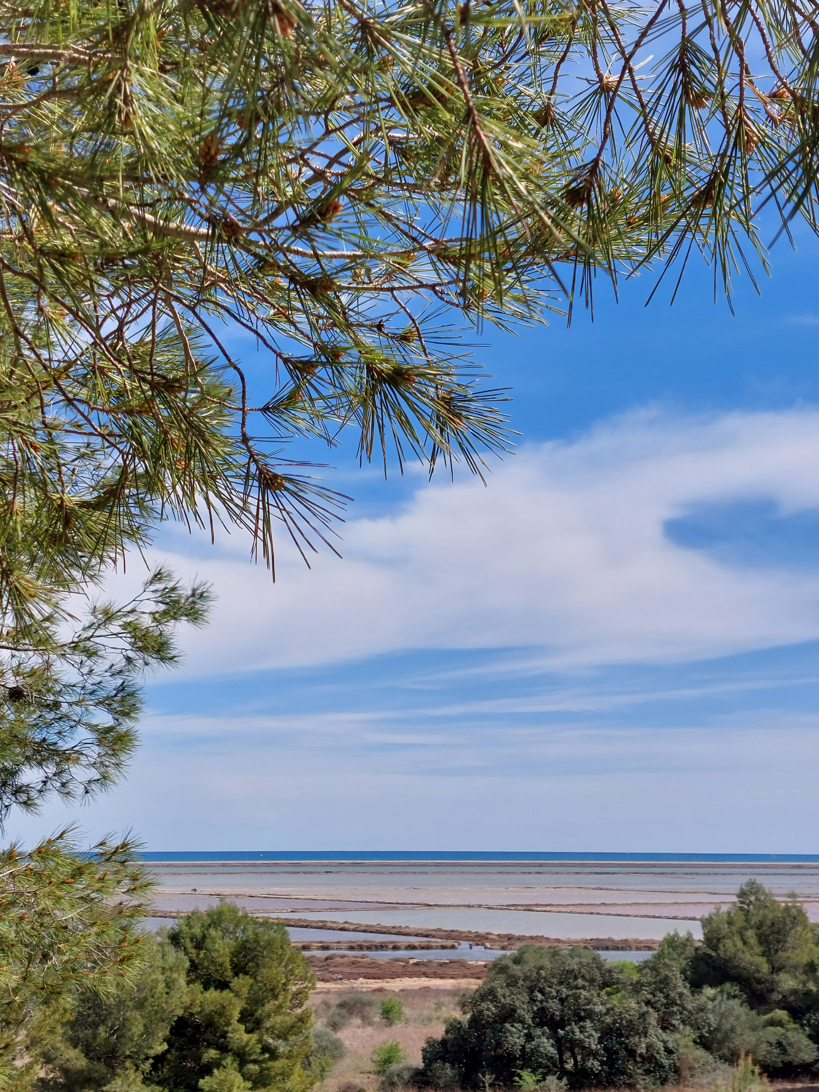 Uitzicht op de vijvers van Gruissan