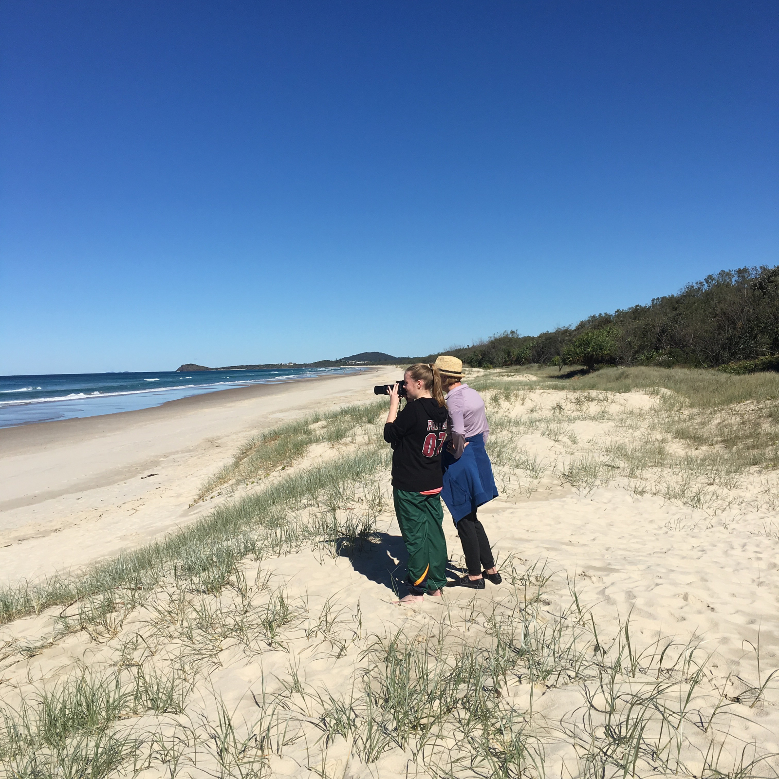 Watching whale migration from the beach
