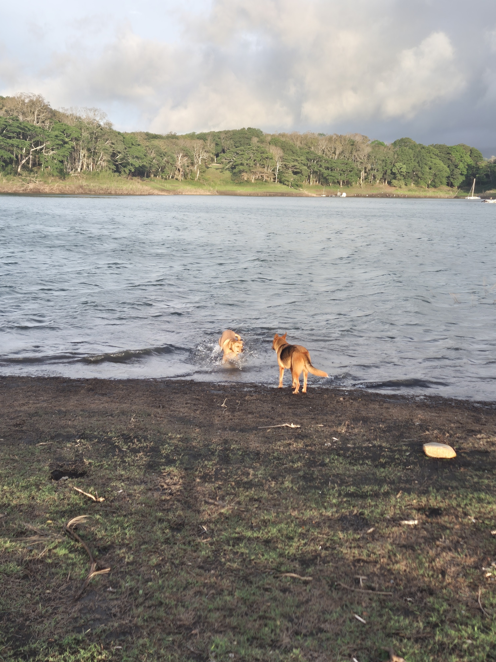 Lichterfülltes Häuschen am Lake Arenal