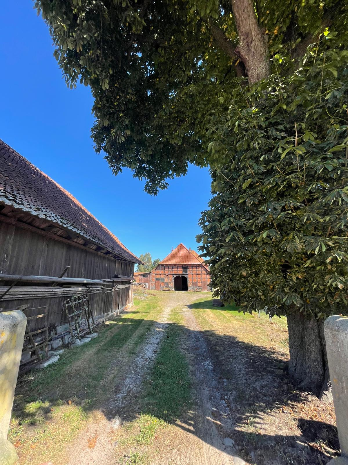 Hofeinfahrt, Blick zum Haus