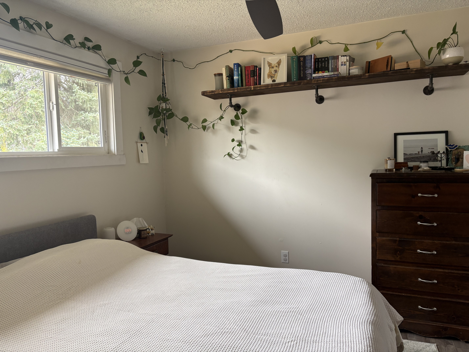 Nestled in the heart of the Selkirk and Monashee mountains with adventure in your backyard