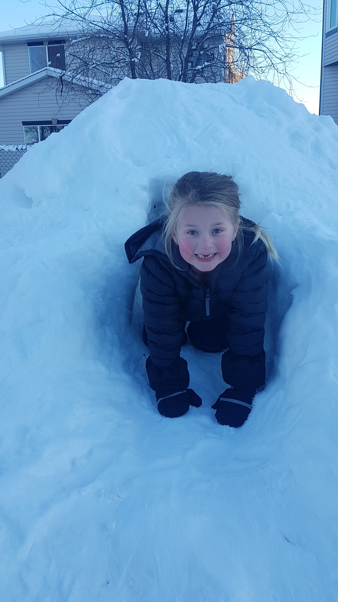 Built a snow cave in the back yard