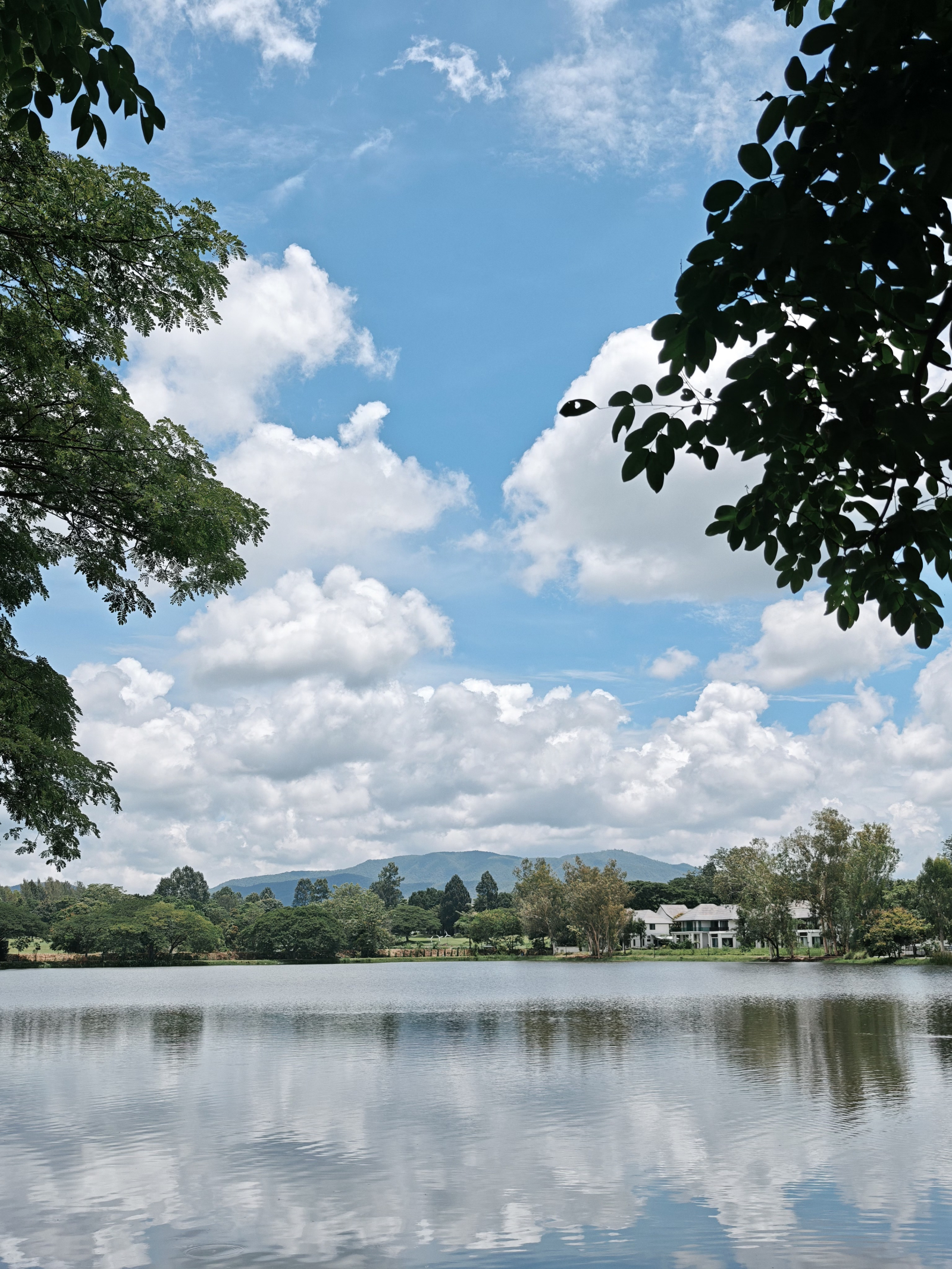 A beautiful lake just few steps away for your daily excises