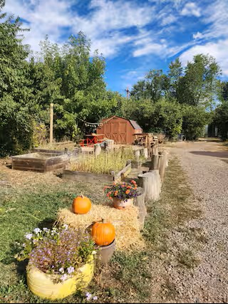 Arvada Olde town cabin feel home with hot tub and sauna.