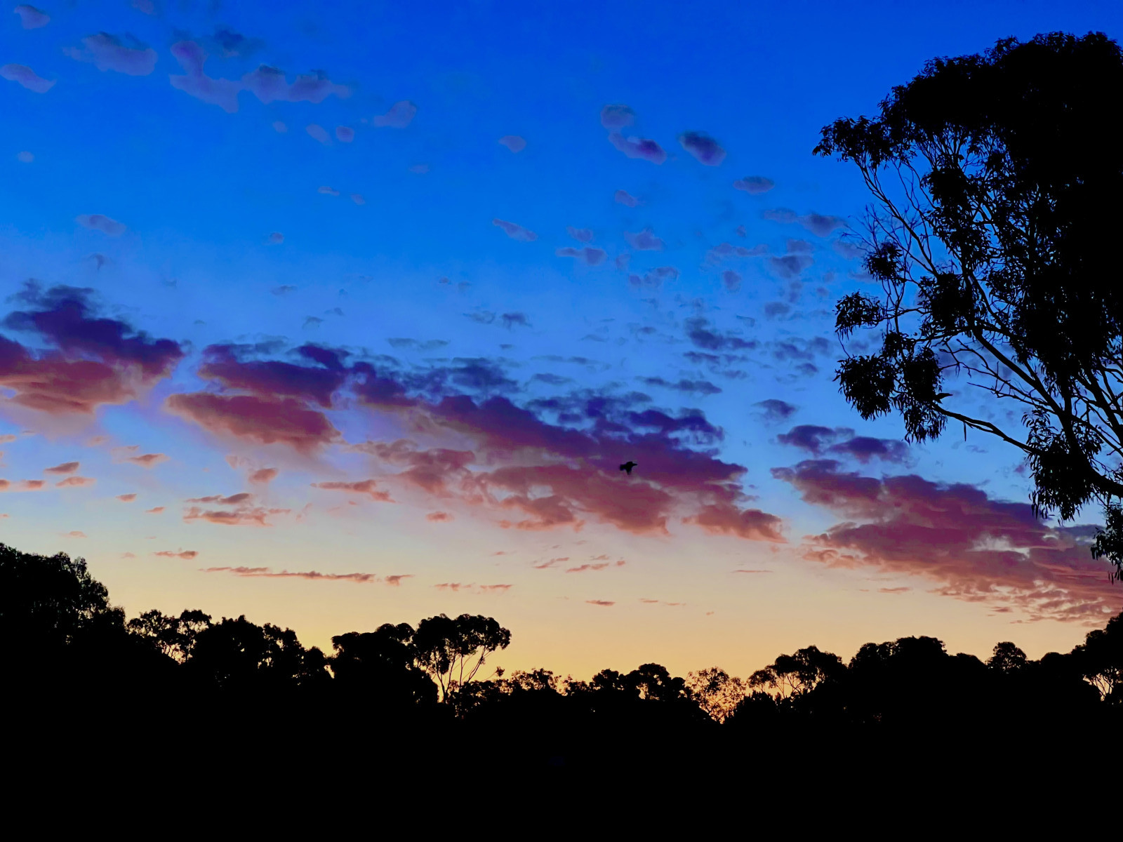Magnifiques couchers de soleil depuis notre jardin