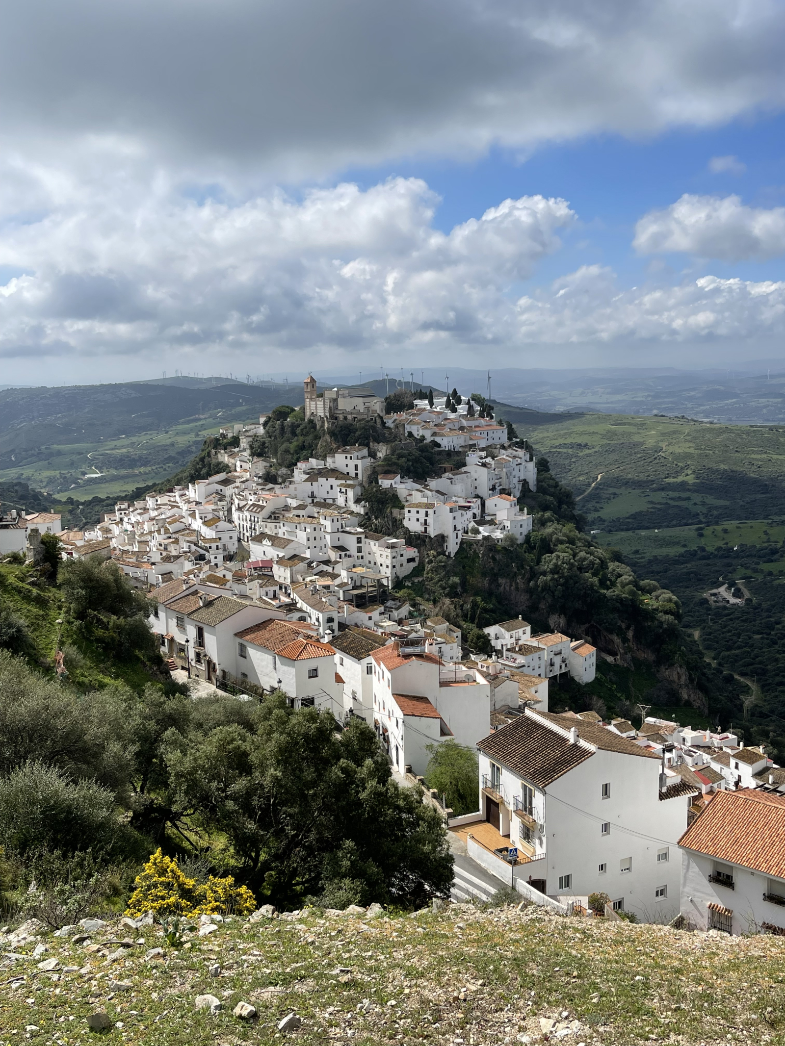 Casares Alta is het dichtstbijzijnde (minder dan 30 minuten rijden) van de vele heuveltop-witgekalkte dorpen van Andalusië, met hun steile, smalle, geplaveide straatjes, kleine winkeltjes en restaurants, oude forten, kastelen en kerken, en fascinerende geschiedenissen.