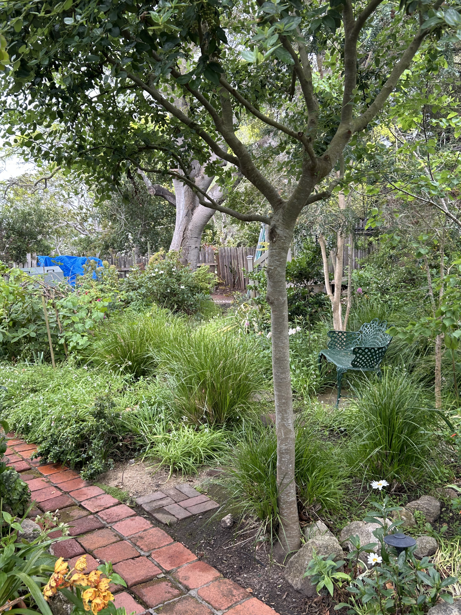 Adobe de jardim no coração de Monterey