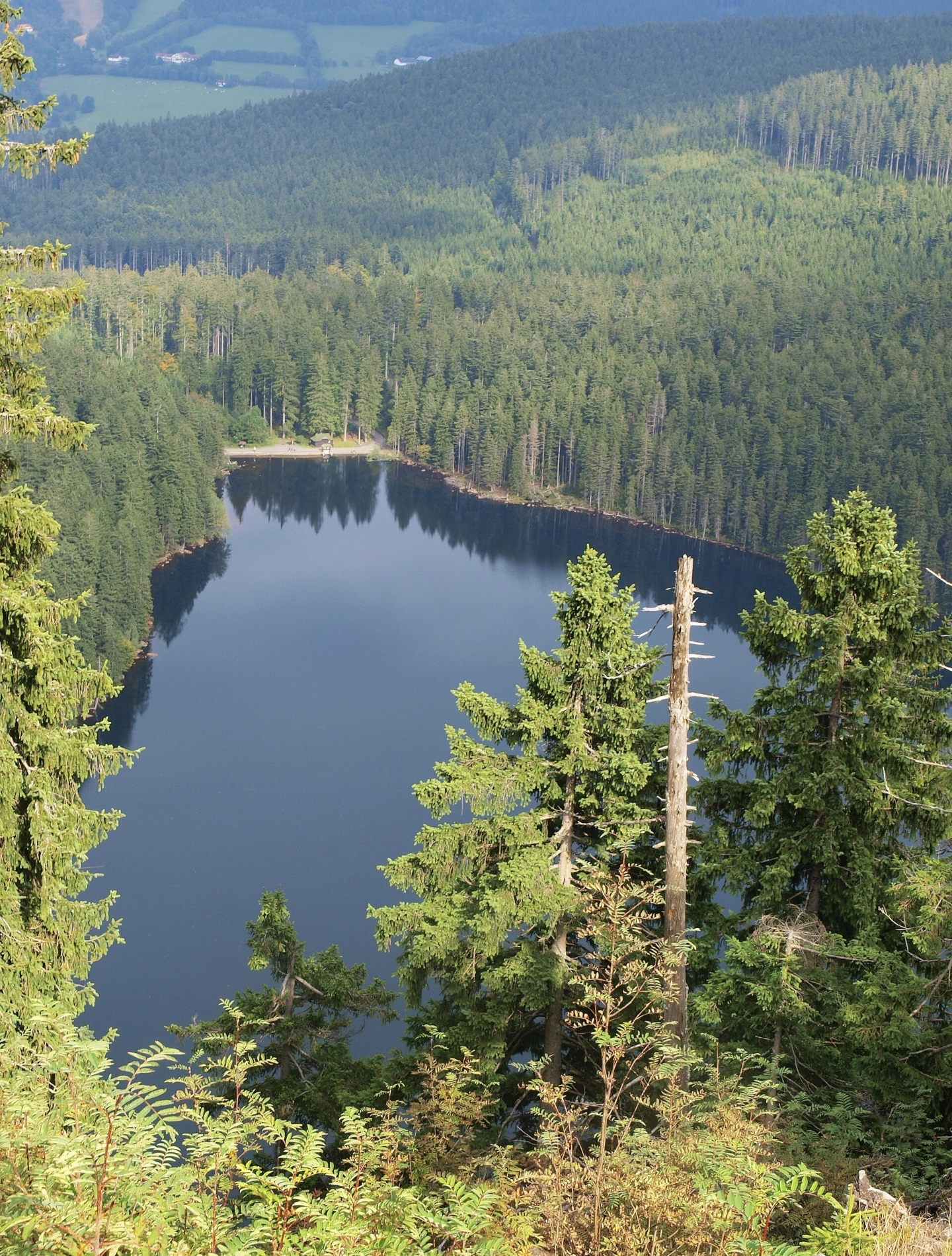 Accommodatie in het Nationaal Park Šumava