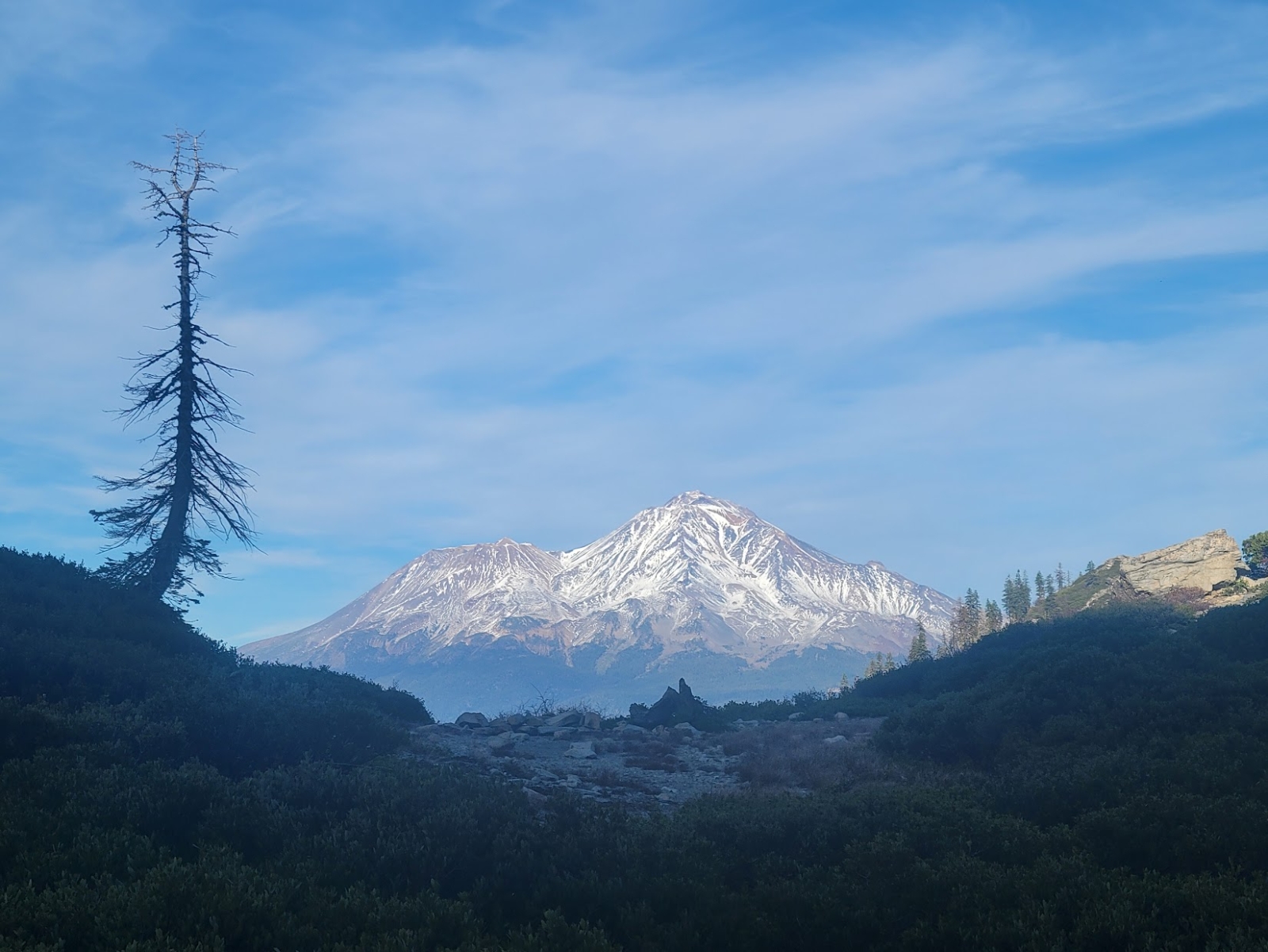 Mt Shasta