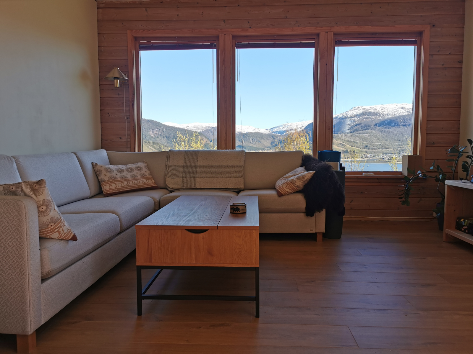 Casa vicino alla bellissima natura nel nord della Norvegia con un gattino coccolono