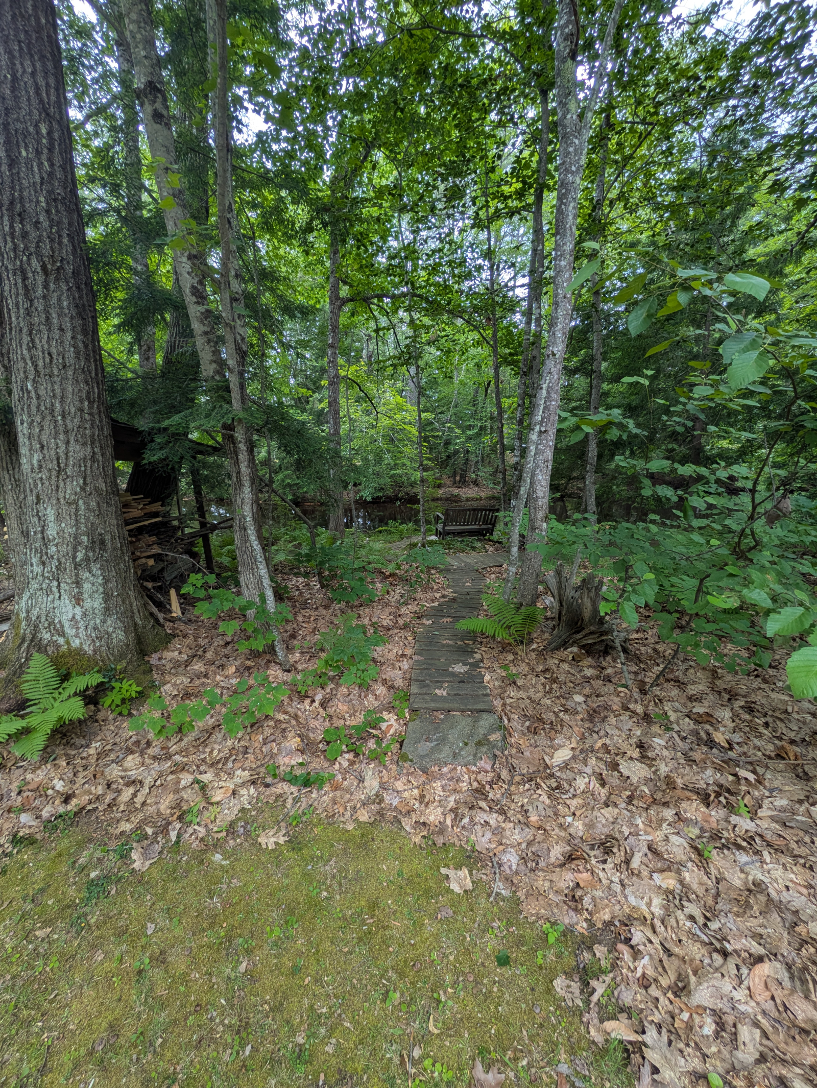 Un ingresso al lungomare