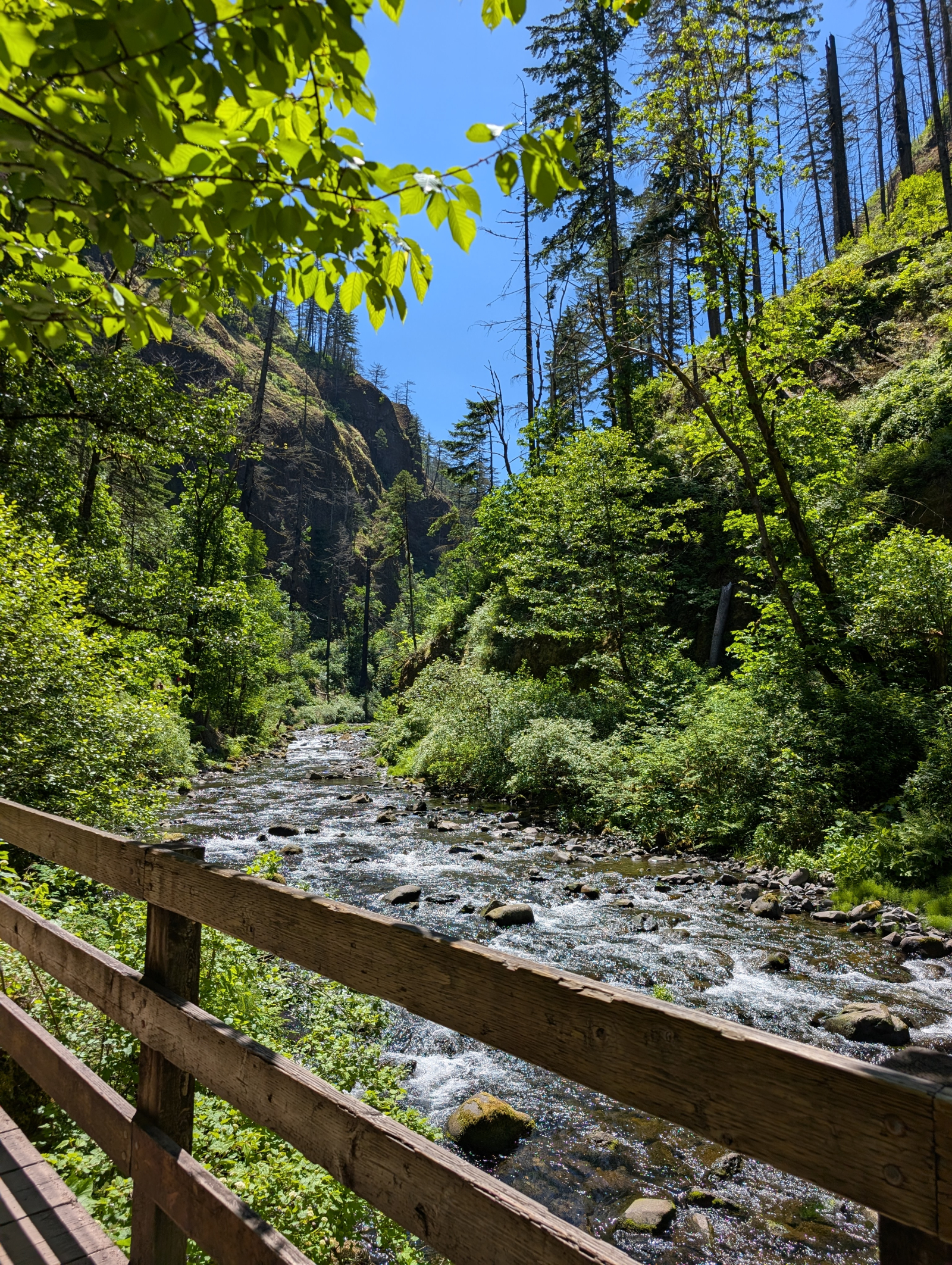 Tanner Creek, Wahclella Falls-pad