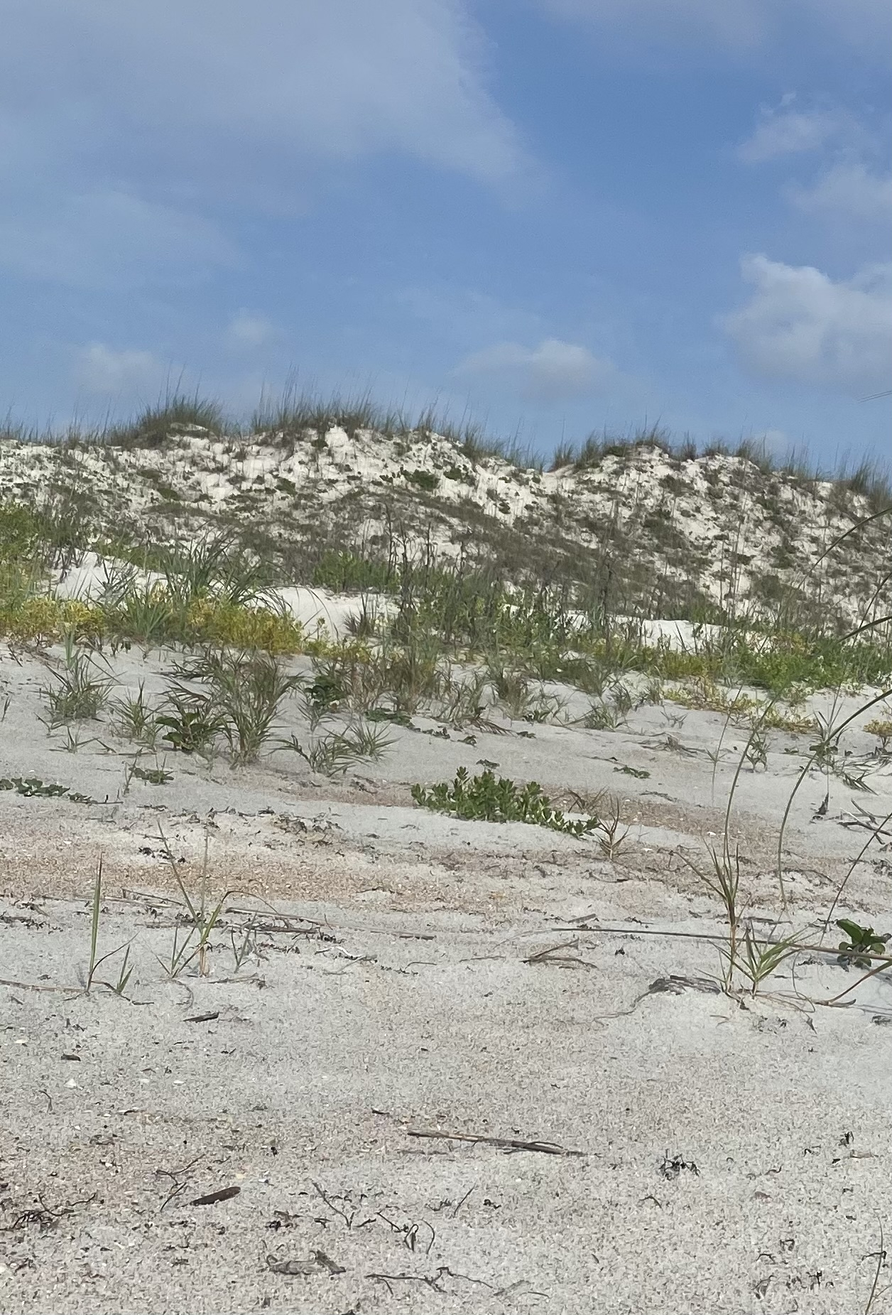 Parc d’État d’Anastasia