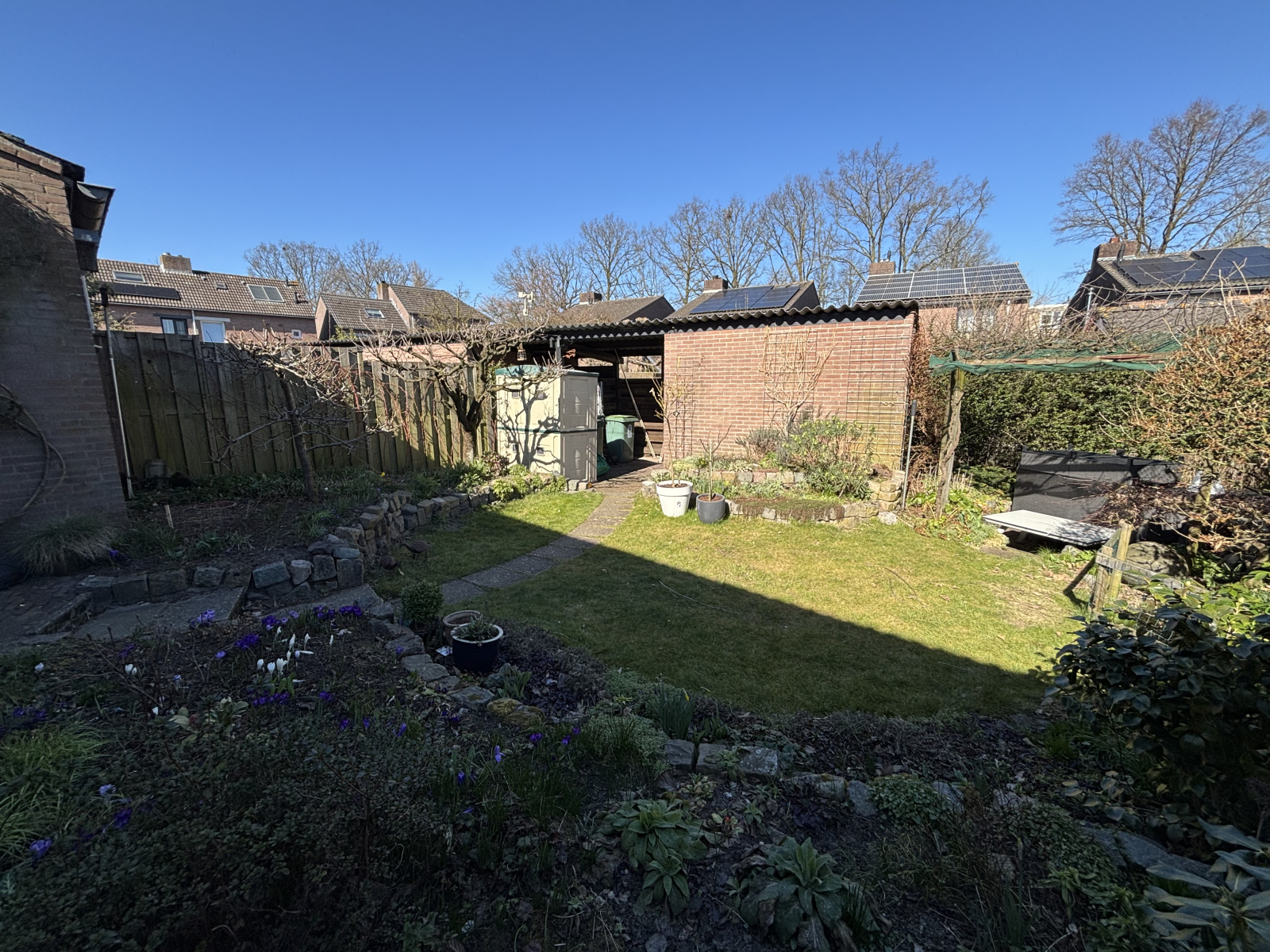 Lots of fruit in the garden