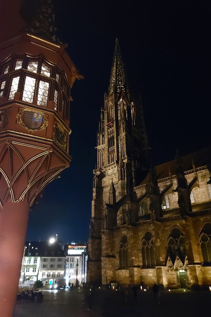 Zwischen dem Schwarzwald und den Weinbergen des Elsass