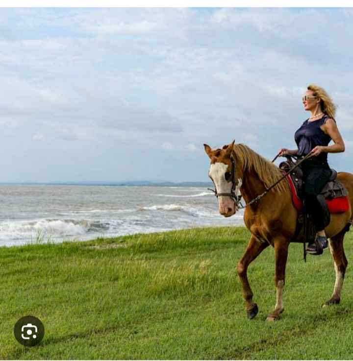Caballos y establos en el lugar. Se pueden reservar paseos por la playa y por senderos. 3.5 millas d ...