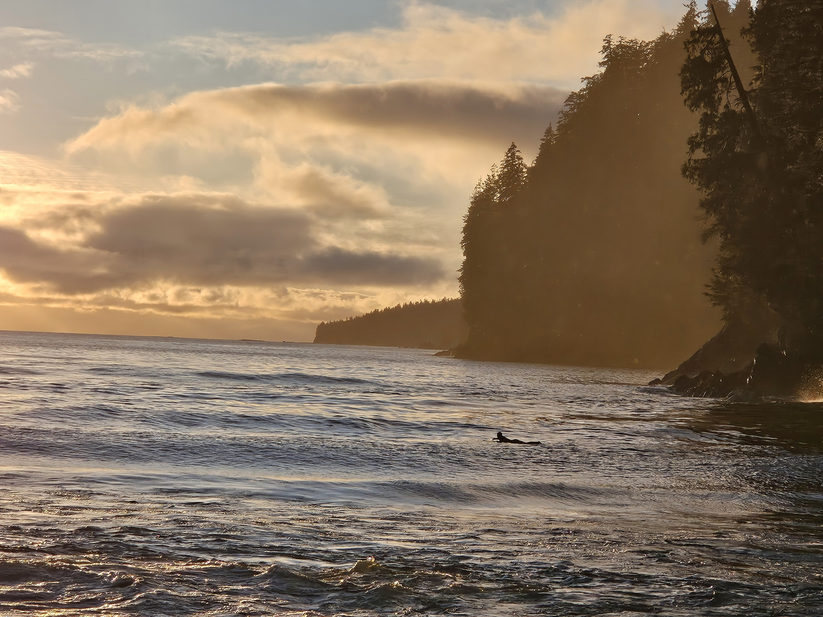 Sunset Surfer in Port Renfrew