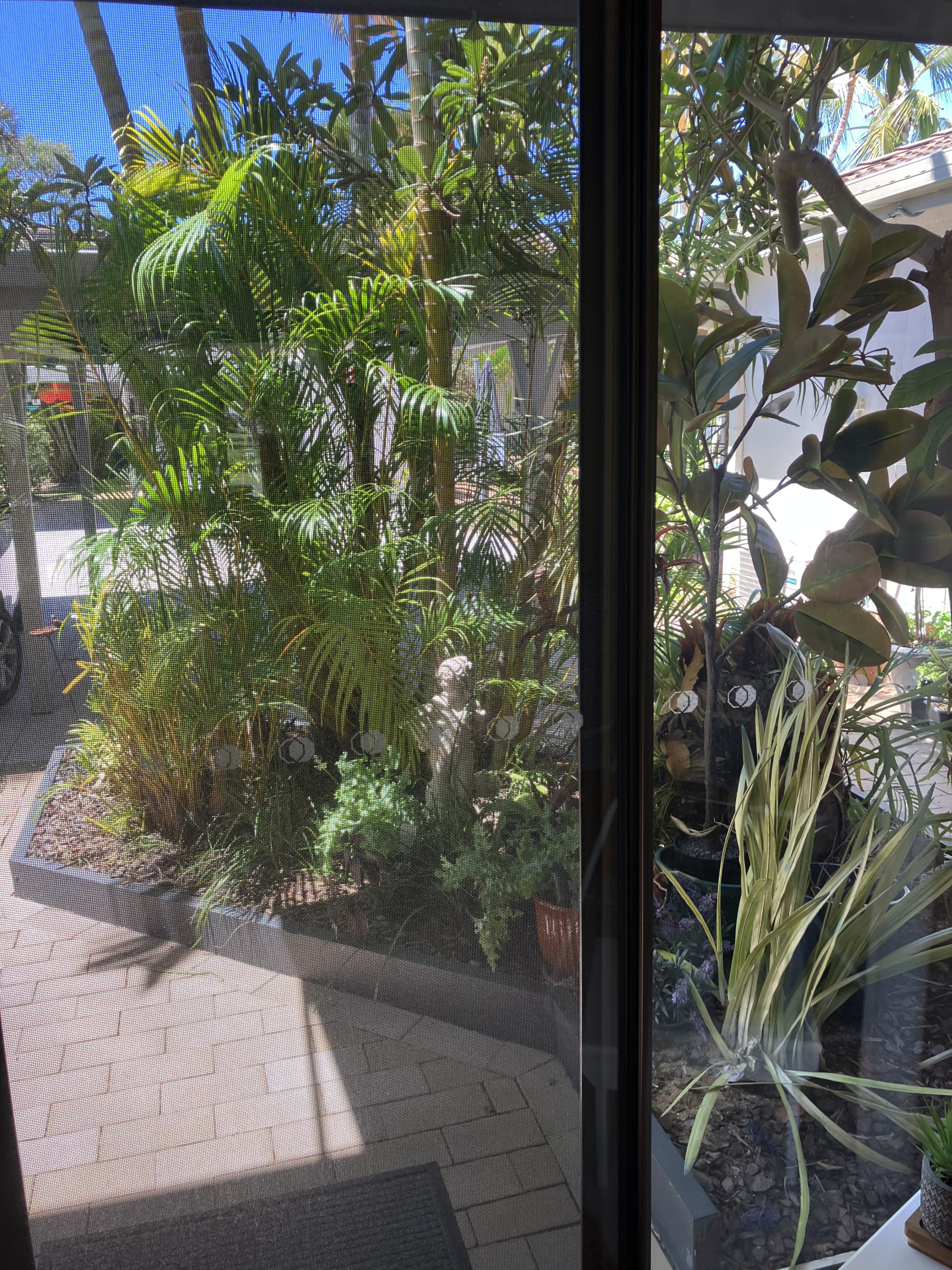 The Palms Retreat Noosa