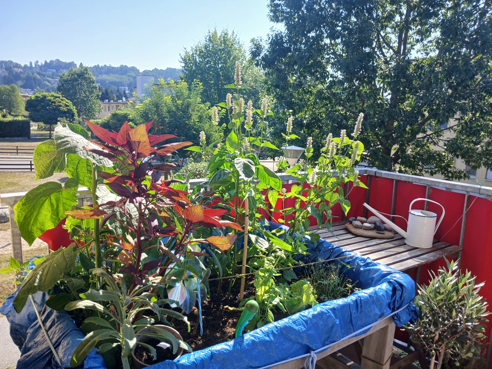 Piso tranquilo de 4 habitaciones con balcón en Graz, un pueblo de tamaño medio en un entorno de colinas muy bonito.