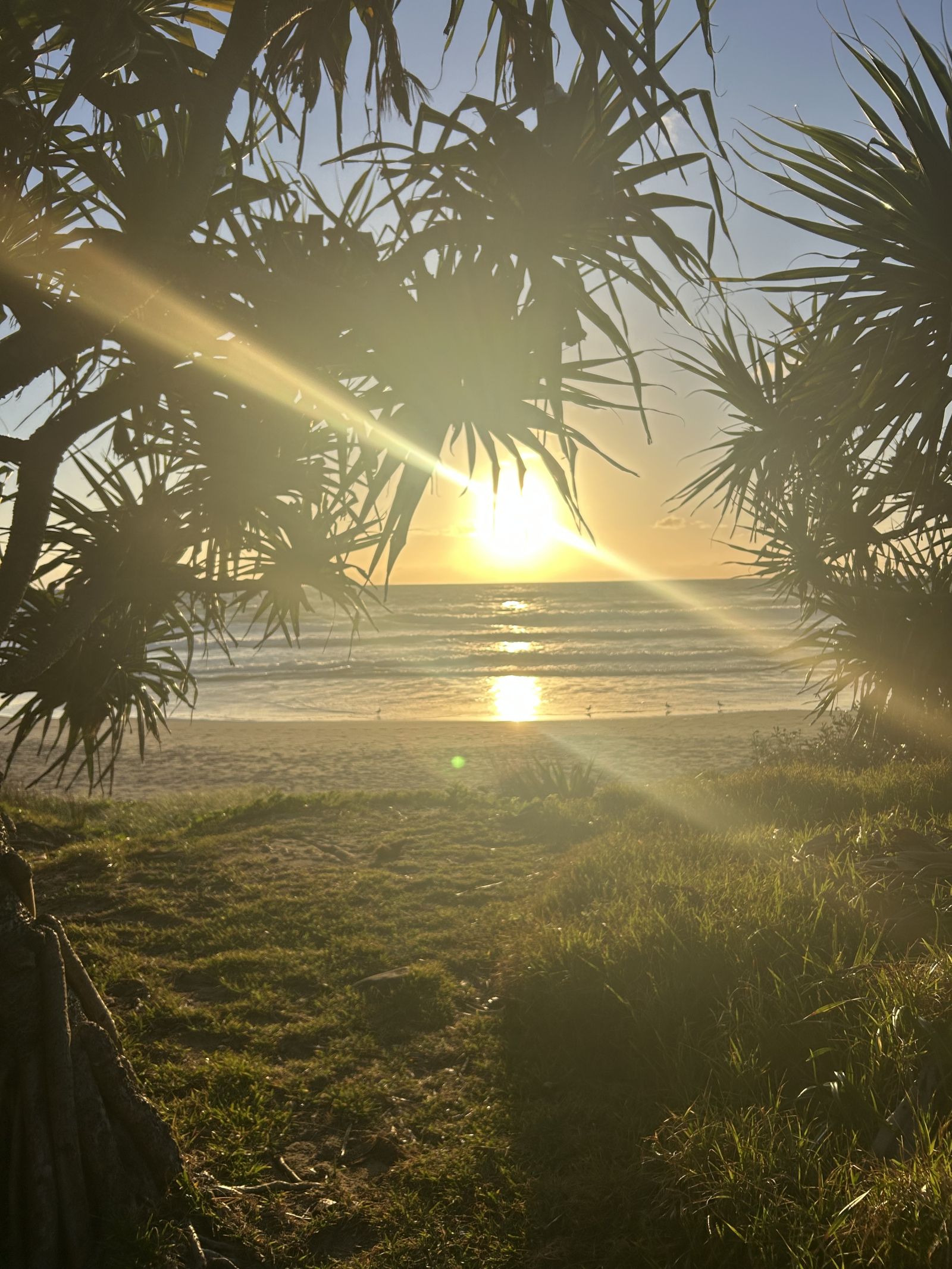 Strandparadies - 20 Autominuten von Byron Bay entfernt