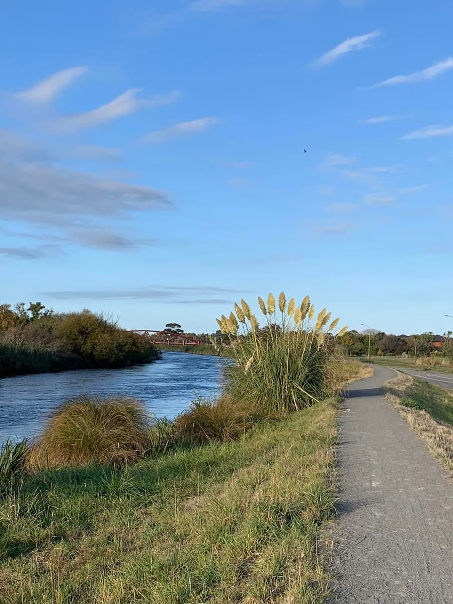 2 minutes from the house are the 'red-zone' walk, run and cycle tracks to the city and sea alongside ...