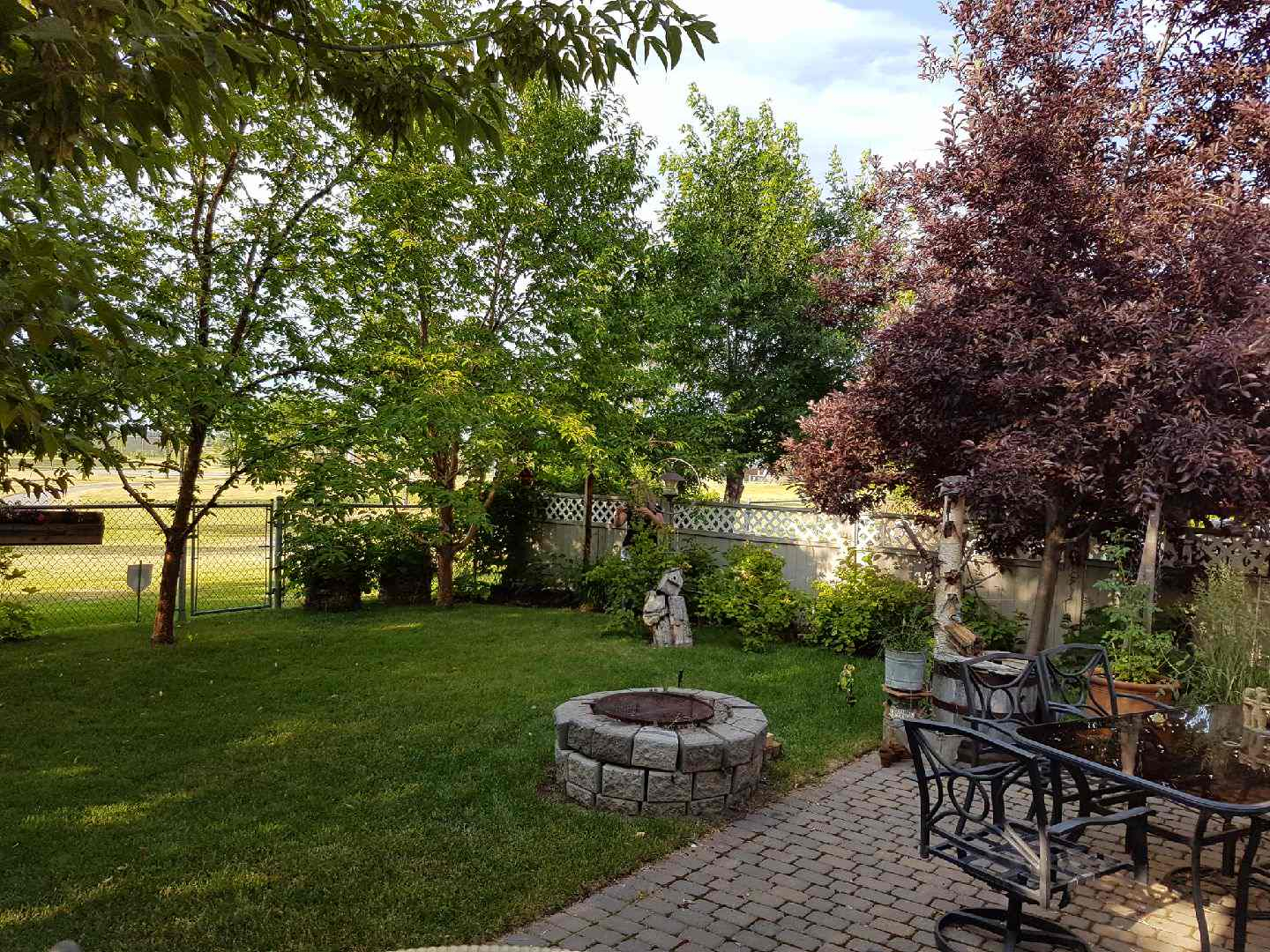 Our back yard, fire pit, barbecue with side burner, dining table and chairs, raspberries mid July, w ...