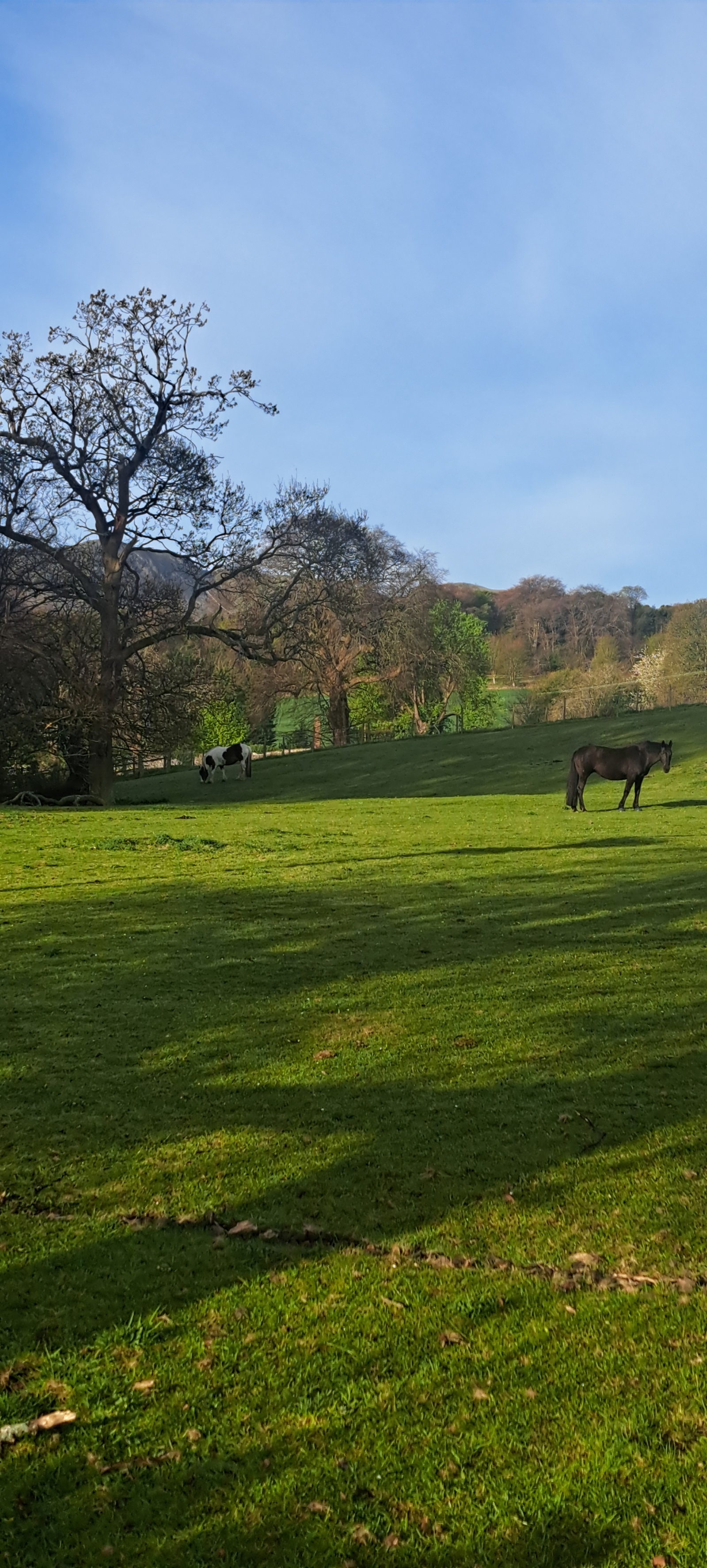 Nog een uitzicht vanaf de 'loop'-wandeling bij ons huis.