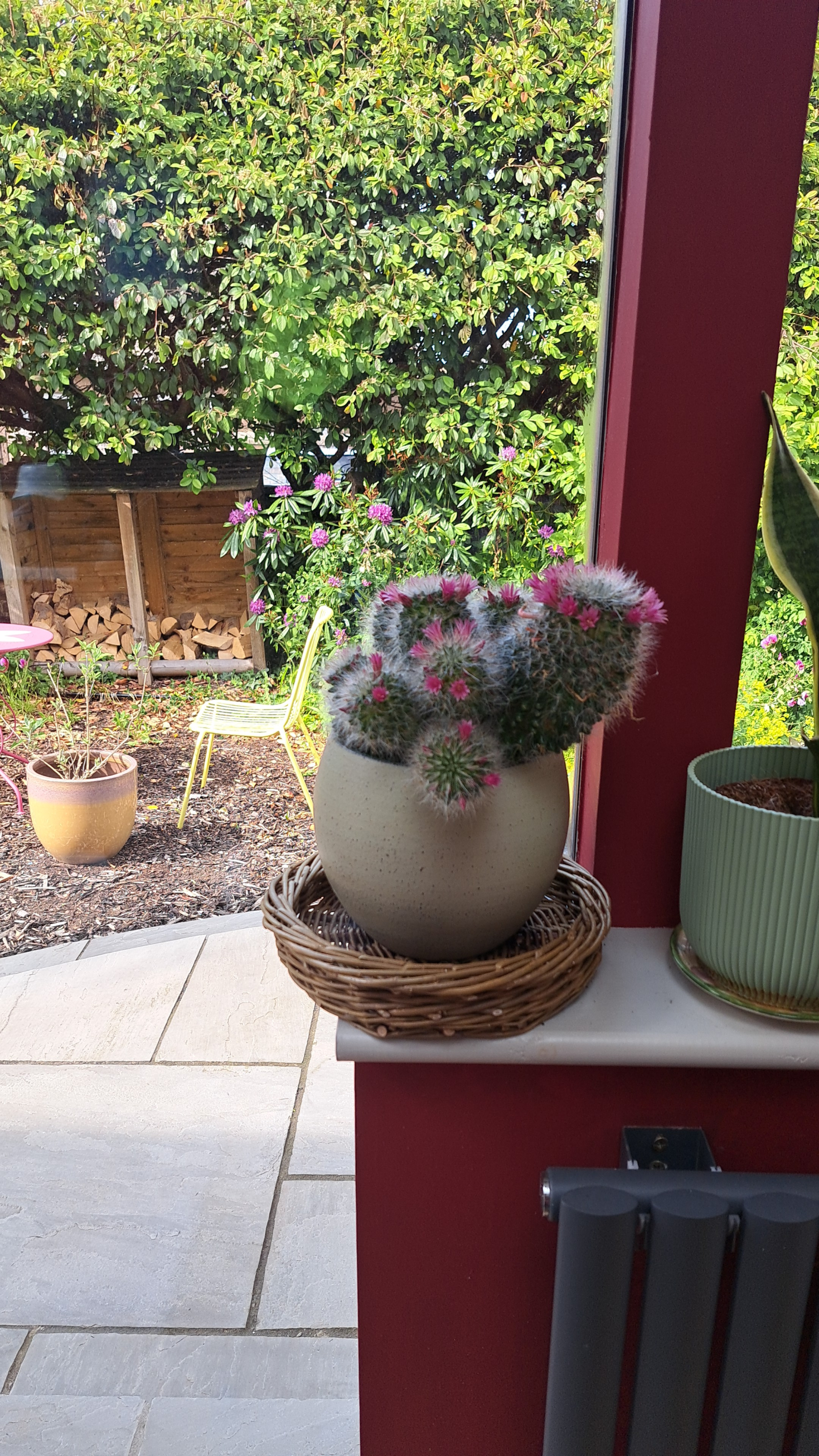 Nog een uitzicht op de lobby. Ik moet die plant naar rechts duwen!