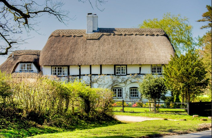 New Forest Thatched Cottage