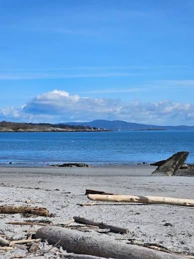 Nahegelegenes Willows Beach