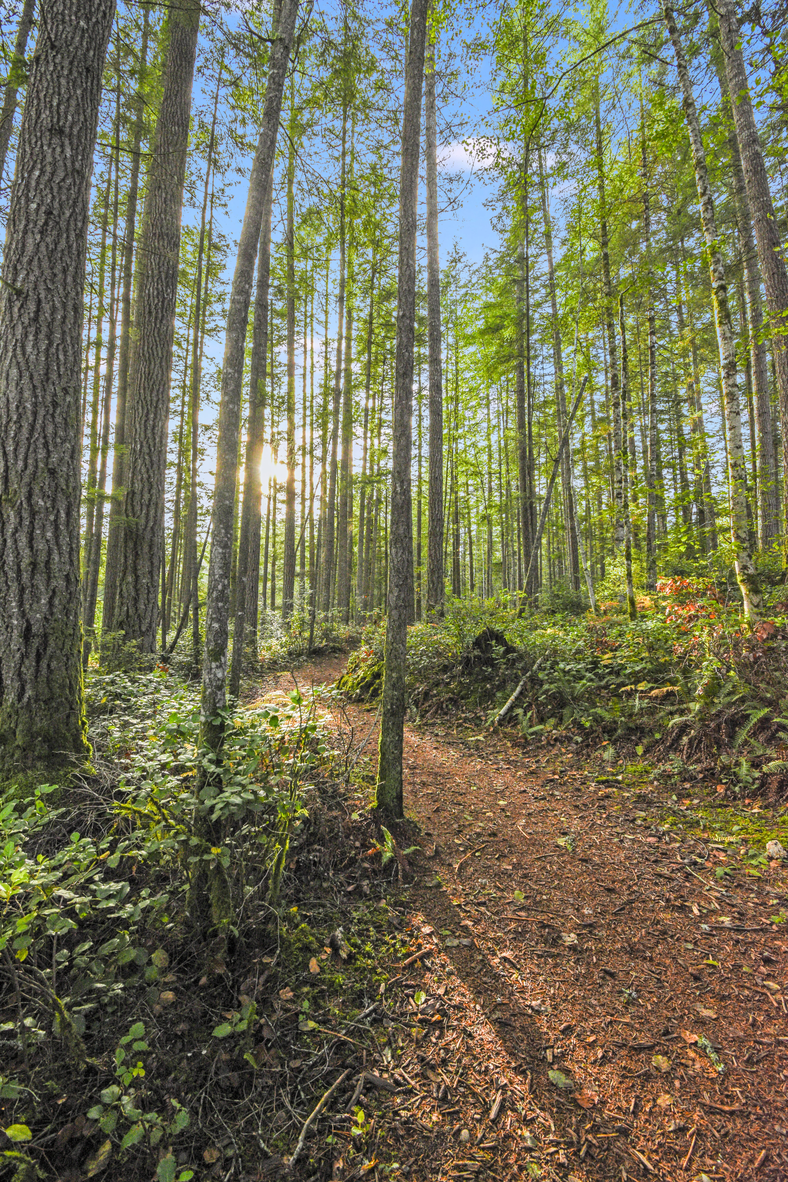Chilometri di sentieri escursionistici proprio fuori dalla nostra porta di casa.